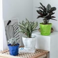 thumbnail image 2 of Sinknap Flowerpot Durable Stable Decorative Breathable Succulents Nursery Garden Planter With Tray For Home, 2 of 5