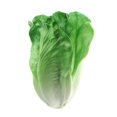 thumbnail image 5 of Alimento Artificial Vegetal Alimento Artificial de Simulación Vegetal Decoración de la Cocina del Hogar Magideal Vegetal Alimento Artificial Vegetal, 5 of 5