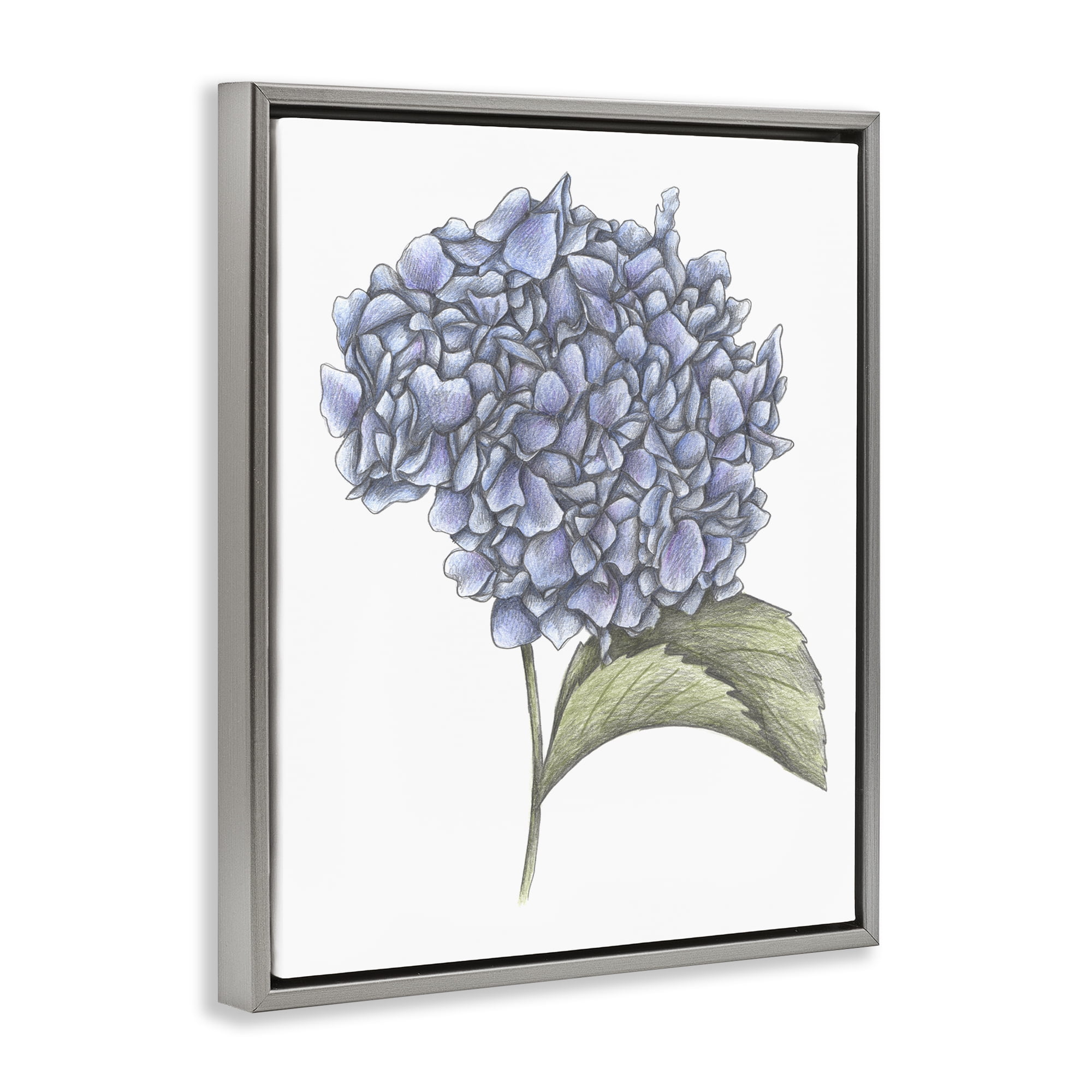 Hydrangea Sketch Blossom Gray Framed Floater Canvas Wall Art, design by Cecilia Battaini