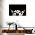thumbnail image 3 of Elephant Stock Peeking Siberian Husky Wall Art - Horizontal Canvas Wall Art - Living Room Wall Decor - Animal Canvas - Black And White Decor - 30" x 20", 3 of 8