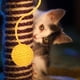 thumbnail image 2 of Juguetes interactivos para gatos, cuerda de sisal, pelotas con cascabeles, repuesto para rascador, accesorios para rascar y jugar en interiores, 2 of 7