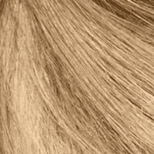 8.0 Medium Blonde