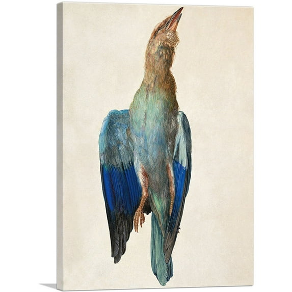 ARTCANVAS Dead Bluebird - Blue Roller 1512 Canvas Art Print by Albrecht Durer - Size: 40" x 26" (1.50" Deep)