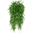 thumbnail image 1 of Billuyoard Simulación de hierba de helecho, planta verde, helecho Artificial, hojas persas, flores, plantas colgantes de pared, decoración de tienda de Decoración del hogar Billuyoard HA017865-00, 1 of 5