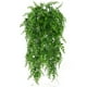 thumbnail image 1 of Billuyoard Simulación de hierba de helecho, planta verde, helecho Artificial, hojas persas, flores, plantas colgantes de pared, decoración de tienda de Decoración del hogar Billuyoard HA017865-00, 1 of 5