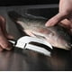 thumbnail image 4 of 2in1 Fish Skin Brush Fast Remove Fish Scale Scraper Planer Tool Fish Scaler Fishing Knife Cleaning Tools Kitchen Accessories1pcs-silver, 4 of 5