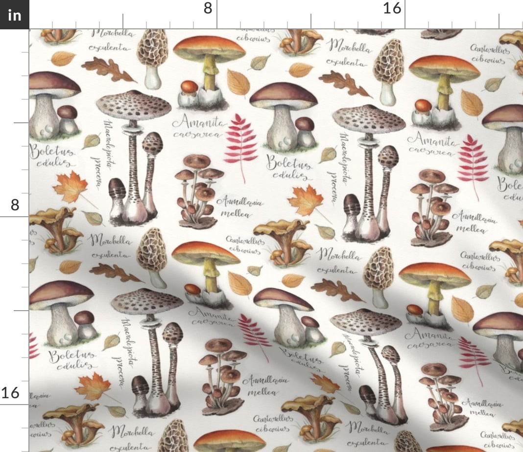 Spoonflower Fabric - Botanical Mushrooms Vintage Autumn Fall Watercolor  Printed on Petal Signature Cotton Fabric Fat Quarter - Sewing Quilting  Apparel Crafts Decor - Walmart.com