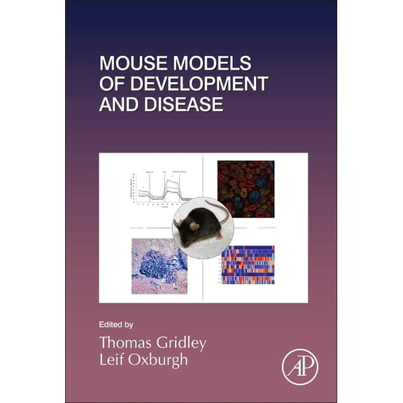 Current Topics in Developmental Biology Mouse Models of Development and Disease: Volume 148, Book 148, (Hardcover)