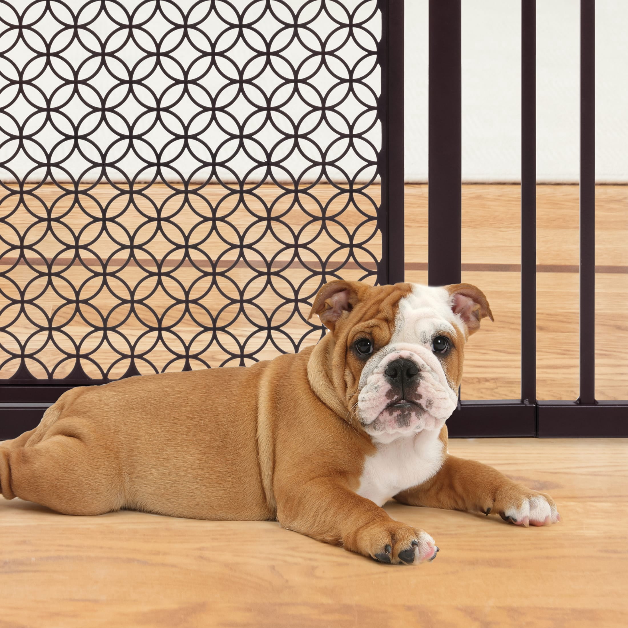 Summer by Ingenuity Modern Home Decorative Walk-Thru Safety Pet and Baby Gate, 28 - 42" Wide, 30" Tall - Metal and Bronze Finish
