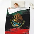 thumbnail image 2 of Flannel Fleece Throw Blanket Mexican Flag Pattern Print Lightweight Super Soft Cozy Plush Blanket 32 X 48 Inches, 2 of 6