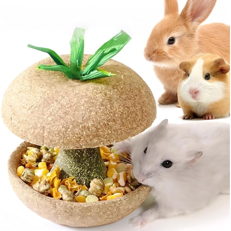 Hamster Chew Toys for Teeth - Guinea Pig Chew Toys for Teeth Food Chews Treats Hamster Cage Accessories for Rabbit, Bunny, Chinchilla, Rat and Small Animal 3.1in Apple Core Shaped
