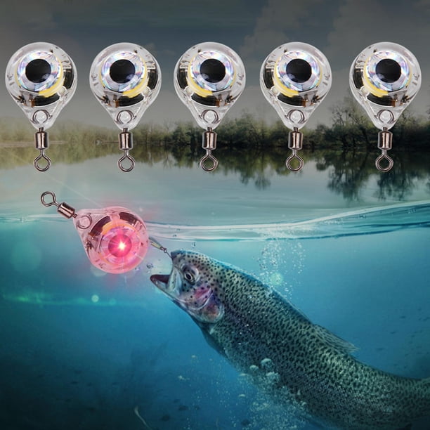 deep sea fishing pole academy Fishing Pole Academy Crappie Rods Shakespeare Catch More Fish Crappie  Spinning Combo Academy