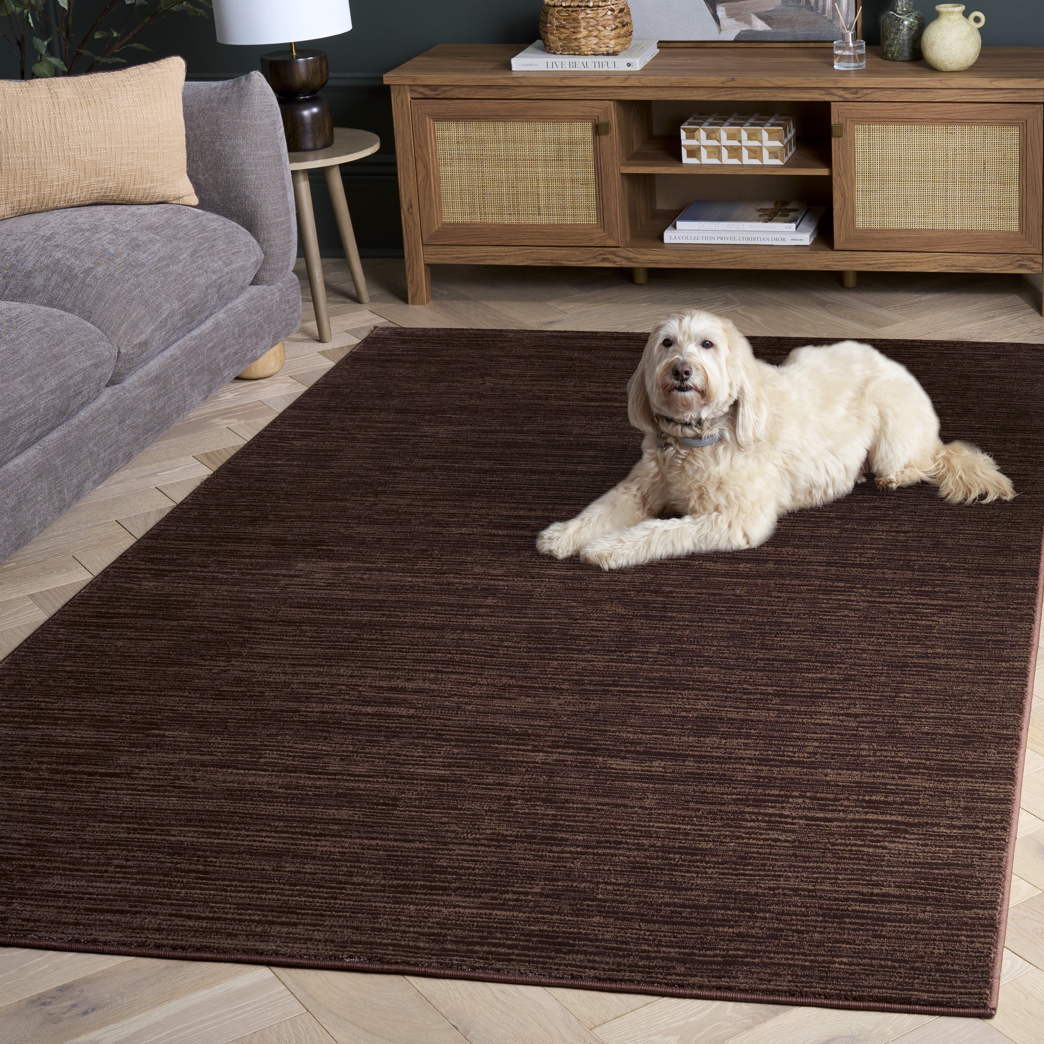 Safavieh Vision Adrasteia Distressed Area Rug, Brown, 6' x 8'