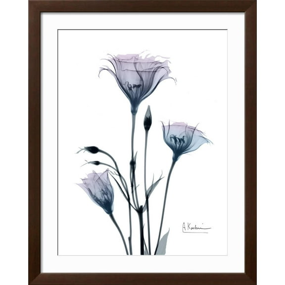 Art.com Midnight Gentian 2 Photo by Albert Koetsier, Brown Frame Wall Art, 32" x 40"