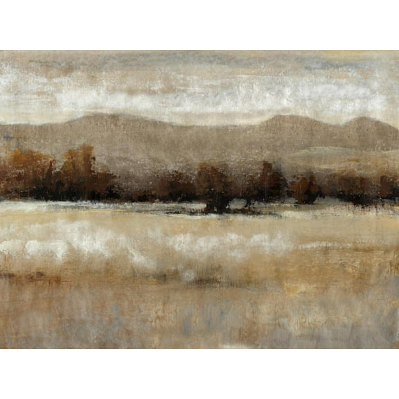 Art.com Umber Light I Art Print by Tim OToole, 24" x 18"