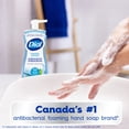 thumbnail image 3 of Dial Antibacterial Foaming Hand Wash, Spring Water Scent, 221ml, Dermatologist Tested, pH Balanced, Free from Silicones, Parabens, Phthalates, SLES/SLS, 3 of 9