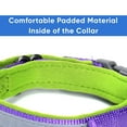 thumbnail image 6 of Pawtitas Martingale Padded Reflective Dog Collar Lumberjack Dog Collar Extra Small Purple, 6 of 10