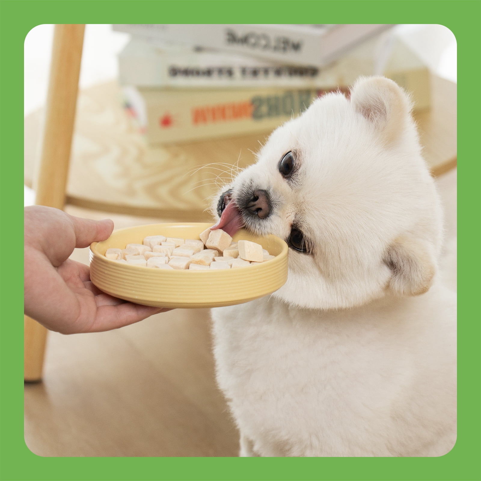 MON2SUN Chicken Freeze Dried Dog Treats, 10.6 oz
