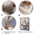 thumbnail image 3 of Designart "Beach Photo Seashell composition IX" Animals Floater Framed Canvas Wall Art, 3 of 7