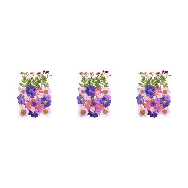 Destyer Set Scrapbooking Decorating Real Flower Decal Handicraft Filling Pressed Specimen Label for Makeup Phone Use Type 1 Type40 NO40