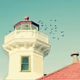 thumbnail image 2 of Dvorak, Vicki 26x26 White Modern Wood Framed Museum Art Print Titled - Lighthouse Birds, 2 of 4
