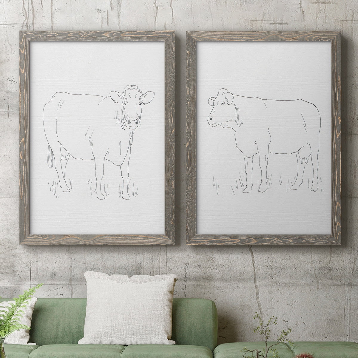 Limousin Cattle III - Premium Framed Canvas 2 Piece Set - Ready to Hang