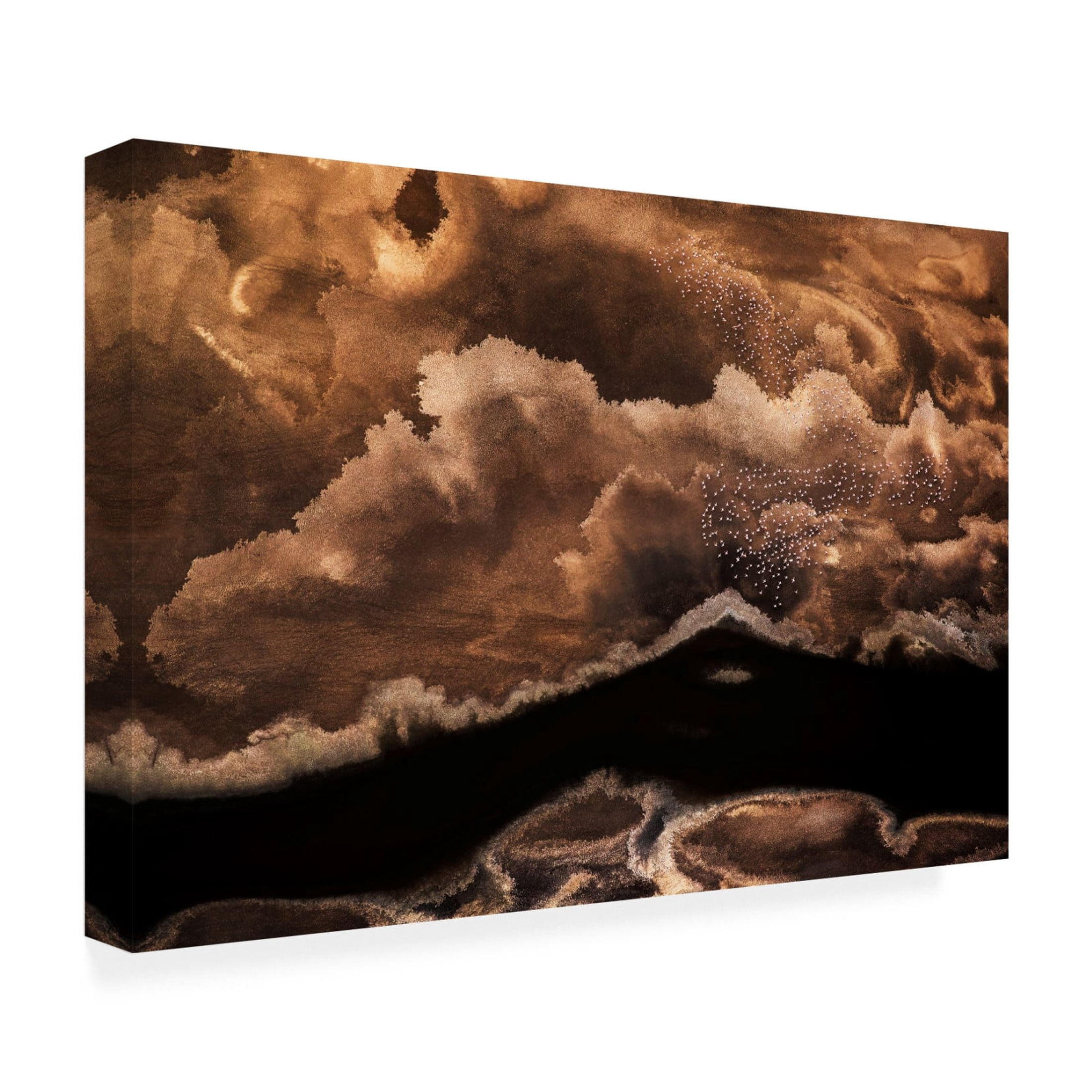 Canvas Wall Art - Arty Guava Chang 'A Painting' Wall Art for Living Room, Bedroom, or Office Décor by Trademark Fine Art - 19 x 12 Inches