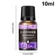 thumbnail image 4 of Aceite Esencial 10ml Aceites Difusores Aromaterapia para Humidificadores () Púrpura, 4 of 4