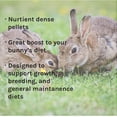thumbnail image 6 of New Country Organics Rabbit Food Pellets - Essential Bunny Supplies - Corn-Free and Soy-Free - 15% Protein Rabbit Feed - Certified Organic and Non-GMO - 25 lbs, 6 of 8