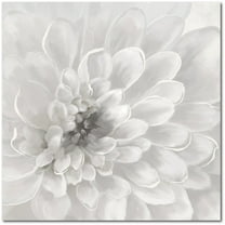 Courtside Market Dahlia 24"x24" Gallery-Wrapped Canvas Wall Art