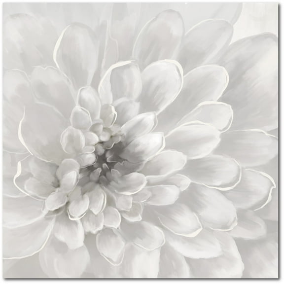 Courtside Market Dahlia 24"x24" Gallery-Wrapped Canvas Wall Art