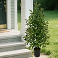 thumbnail image 5 of 35“ Artificial Olive Tree with Pot, Tabletop Faux Plants Mini Trees for Indoor Outdoor Home Living Room Modern Decor Entryway Living Room Realistic GreenDisplay (1Pcs), 5 of 6