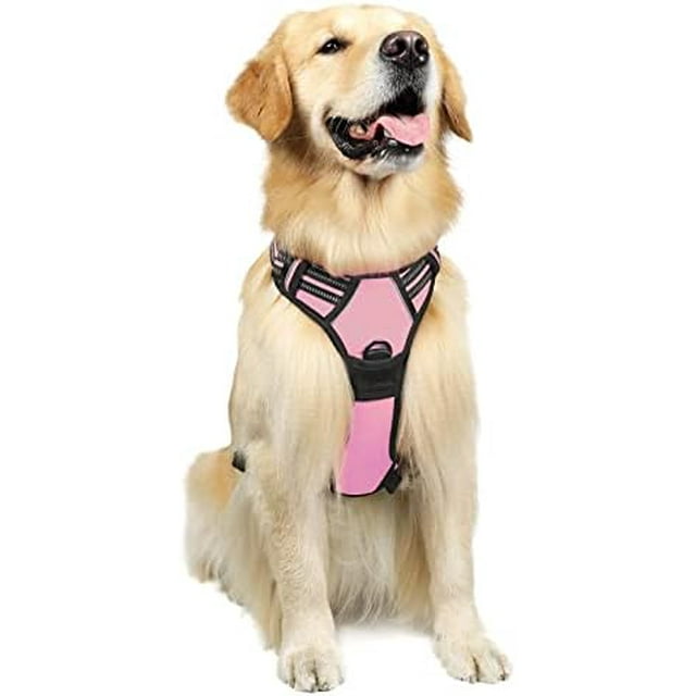 rabbitgoo Dog Harness No-Pull Pet Harness with 2 Leash Clips Adjustable Soft Padded Dog Vest Reflective No-Choke Pet Oxford Vest with Easy Control Handle for Large Dogs Orange L