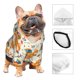 thumbnail image 3 of Balery Squirrel With Colorful Tail Sudadera con Capucha para Perros Pequeños – Ropa para Mascotas, Disfraz para Perros y Gatos, Ideal para Fiestas y Cosplay-Large, 3 of 7