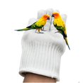 thumbnail image 2 of Tib Bird Training Anti-bite Gloves Parrot Chewing Safety Protective Gloves Small Animal Handling Gloves For Parrotlets Cockatiels, 2 of 3