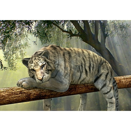 Rainforest Animal Pictures - LAMINATED POSTER Animal World Jungle Tiger Exotic Animal Rainforest Poster Print 24 x 36