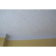 20x20 Anet Foam Ceiling Tile