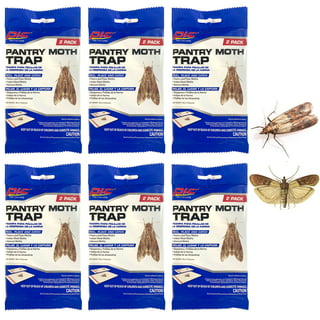 Wholesale Raid 2ct Pantry and Flour Moth Trap
