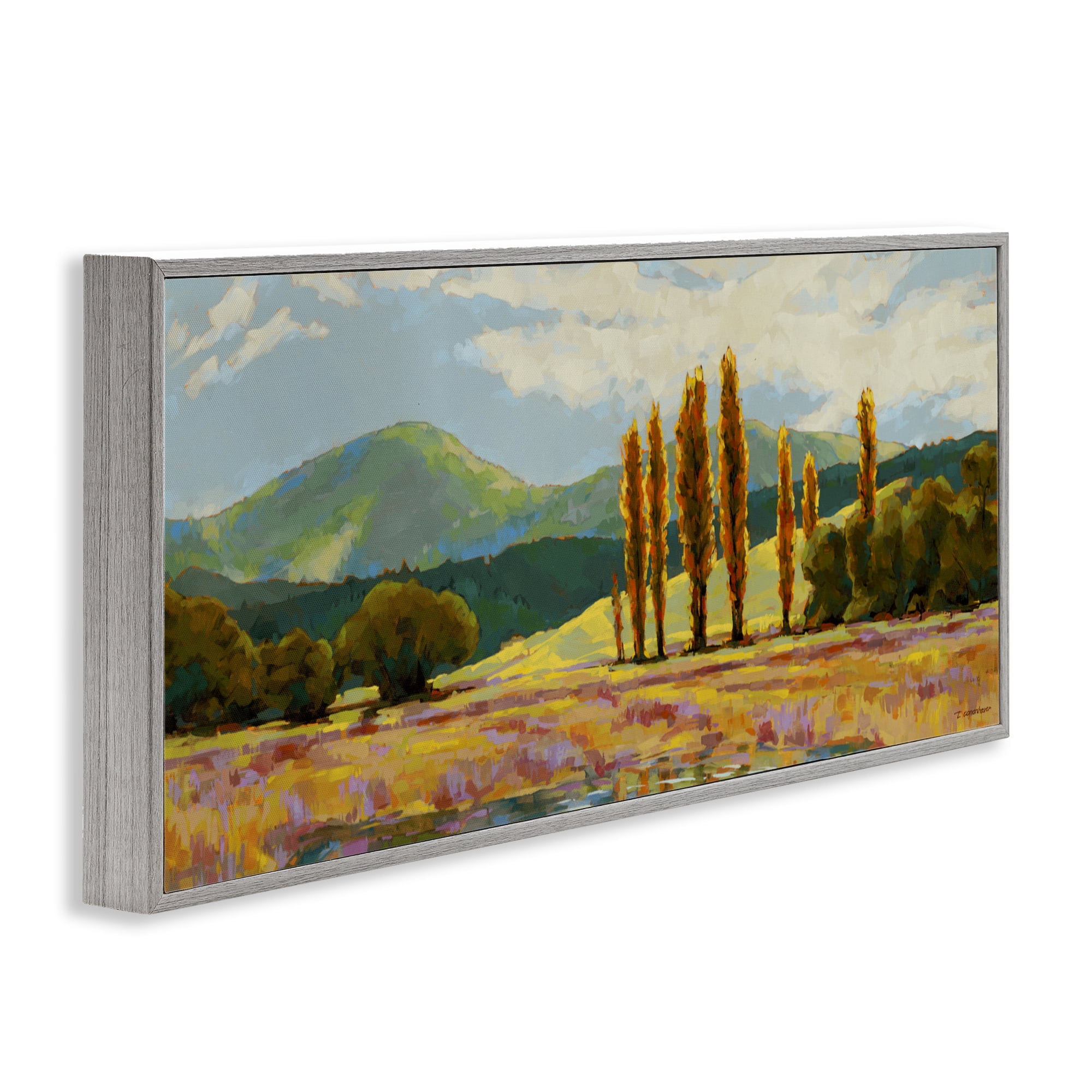 Stupell Industries Vast Subdued Countryside Gray Framed Giclee Art, design by Trevor Copenhaver