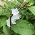 thumbnail image 4 of JIEMUCES 10Pcs Low Stress Training Clips 90 Degrees Plant Stem Trainer Clips Mini Size Lightweight Plant Training Clips Gardening Tools, 4 of 7