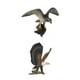 thumbnail image 1 of Figuras de Pájaros de 2 Juguetes de Buscan - Colecciones de Decoración de Animales de Pájaros, 1 of 9