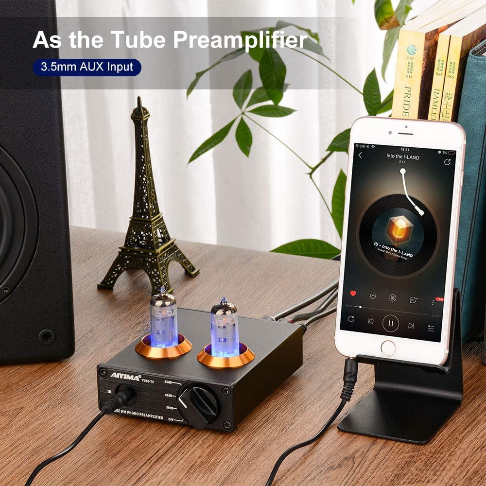 Buy AIYIMA Tube T3 HiFi Tube MM Phono Preamp for Turntable MM