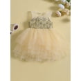 thumbnail image 2 of Suealasg Little Girls Ball Gown Princess Dress 6M 1T 2T 3T 4T 5T Kids Girls Sleeveless Crew Neck Flower Layered Tulle A-line Dress Child Girls Evening Formal Party Dress, 2 of 8