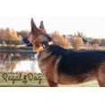 thumbnail image 3 of Regal Dog Products Custom Fit Waterproof Collar with High Strength Buckle & Heavy Duty Ring, 3 of 9