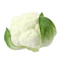 thumbnail image 1 of Artificial Vegetables Lifelike Realistic Cauliflower Artificial Food Home Decor Vegetables, 1 of 5