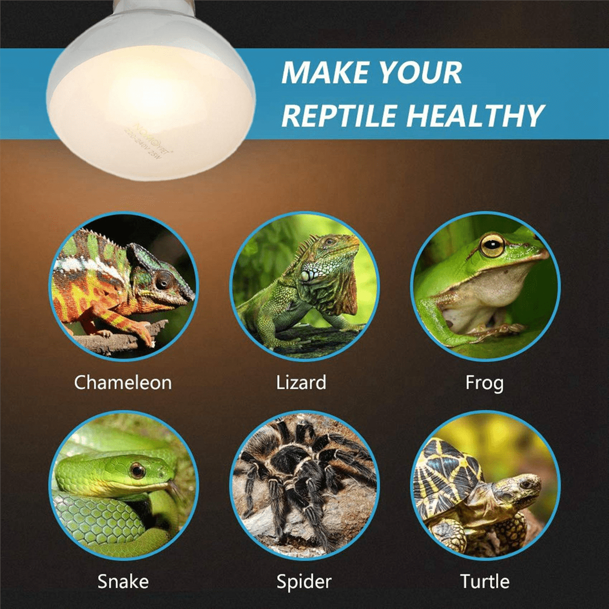 8 Pack Reptile Uvb Uva Heat Lamp Bulb for Truly Sun-Like Bright Heat for ,Amphibian and Birds (100 W)