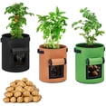 thumbnail image 1 of Potato Growing Bag, 5-pack 10 Gallon Vegetable Growing Plant Bags With Viewing, 1 of 5