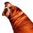 thumbnail image 3 of Almohada de tiro de perro Sunnimix 2x lavable y suave, 3 of 8