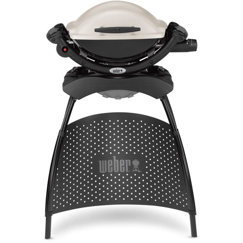er 1Burner Q1000 Gas Grill with Stand