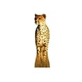 thumbnail image 2 of Advanced Graphics 727 Support en Carton Grandeur Nature pour, 2 of 4
